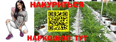 apvp Ипатово