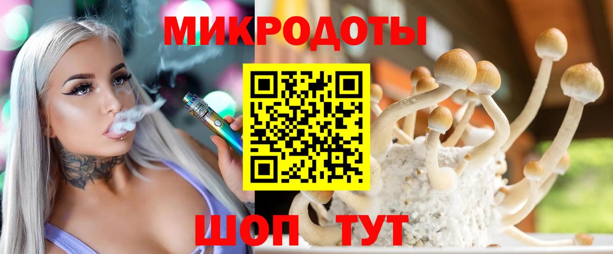 Псилоцибиновые грибы Cubensis Вологда